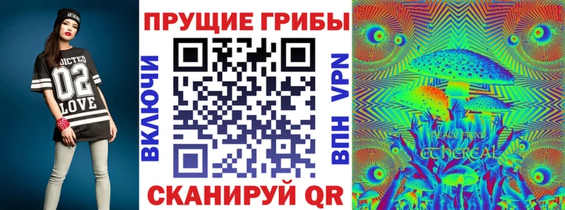 Галлюциногенные грибы Psilocybine cubensis  Полесск 
